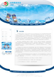 山西明泰食品網站制作方案 高效專業，助力品牌騰飛