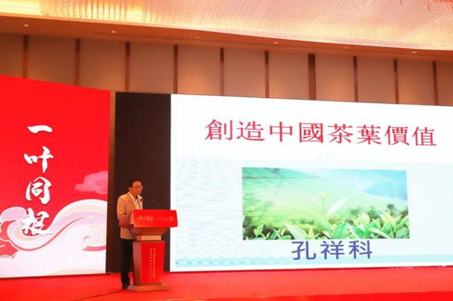 兩岸茶香，技藝同輝——福安兩岸茶文化傳承發展與產業交流盛會